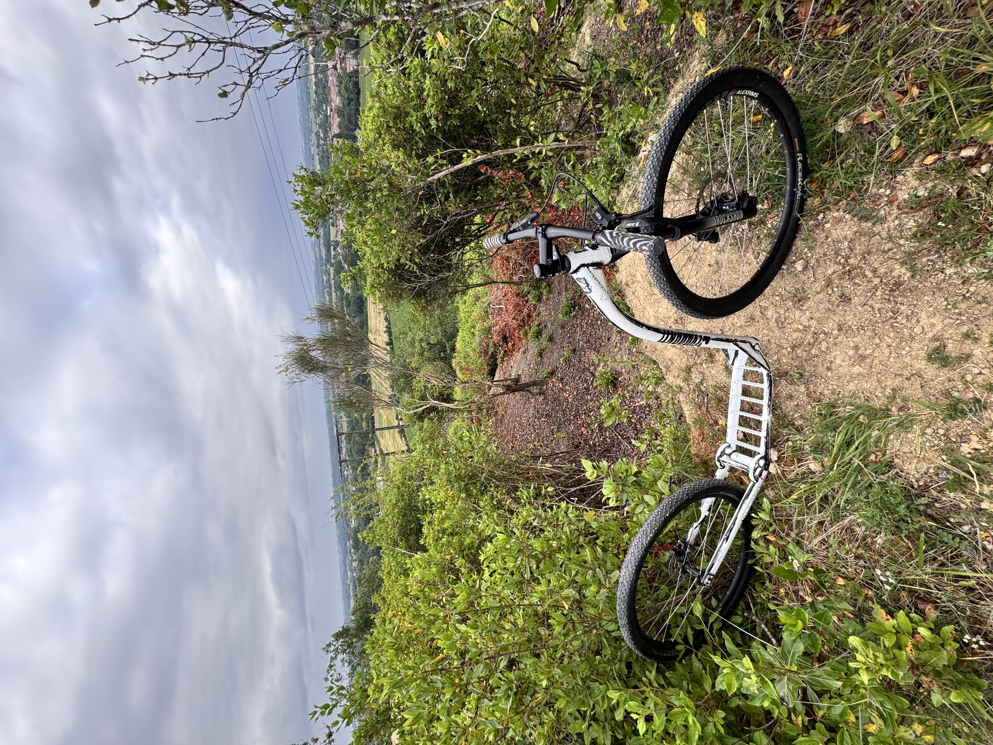 Trottinette occasion devaaant